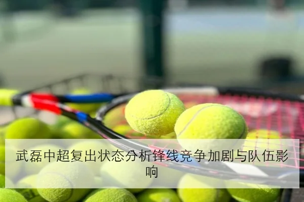 林诗栋连胜后技术复盘前场提速与前三板升级成最大亮点
